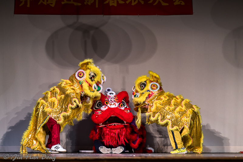 ChineseNewYearCeleb_1819_15