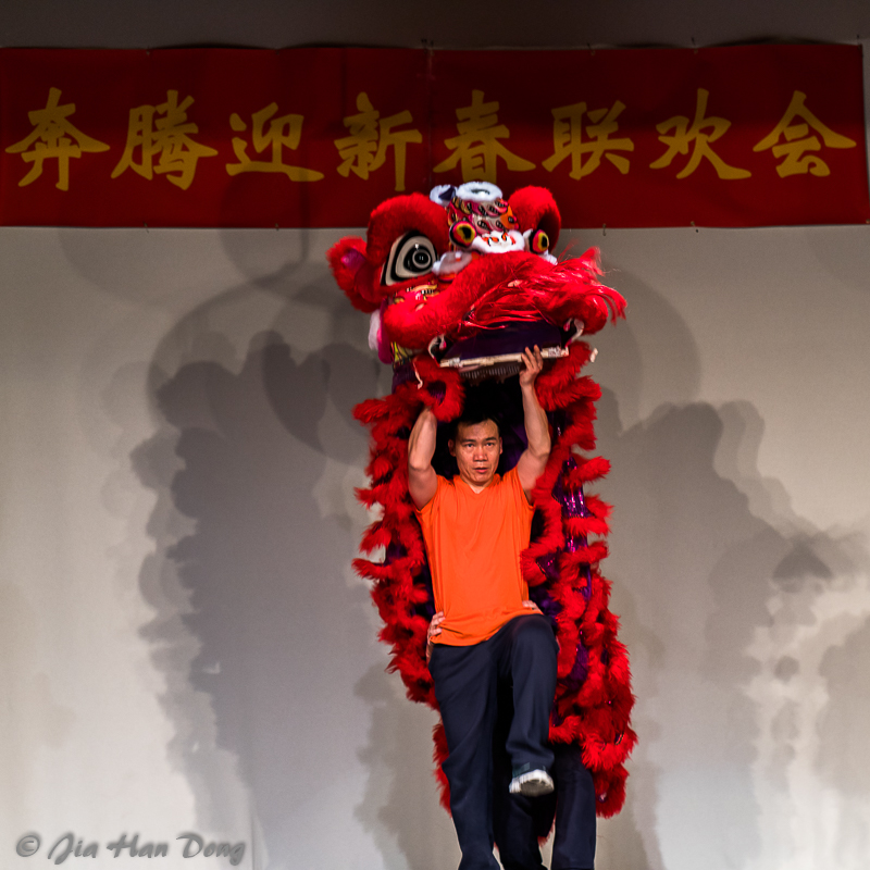 ChineseNewYearCeleb_1819_2