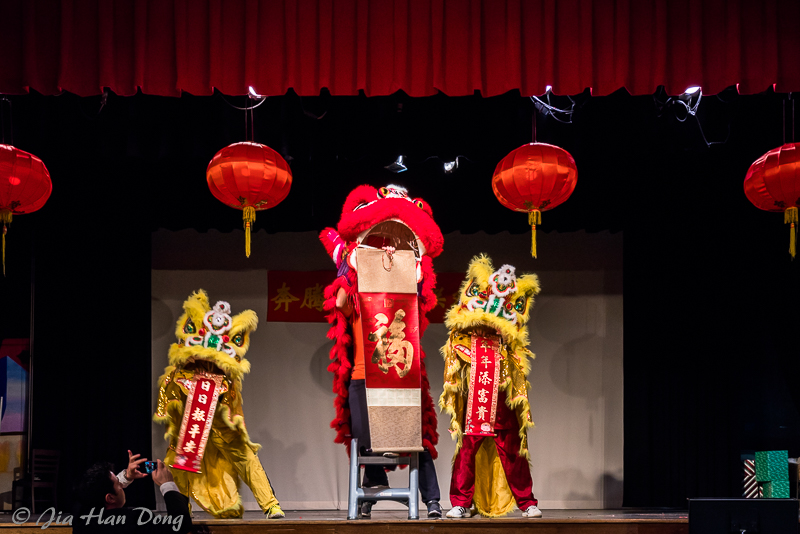 ChineseNewYearCeleb_1819_3