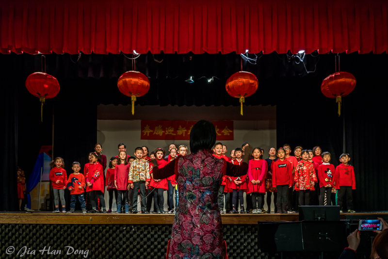 ChineseNewYearCeleb_1819_2