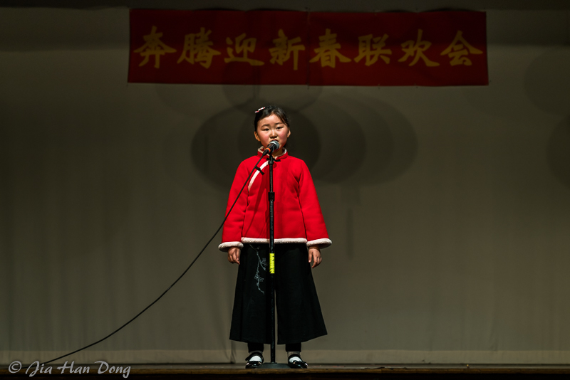 ChineseNewYearCeleb_1819_3