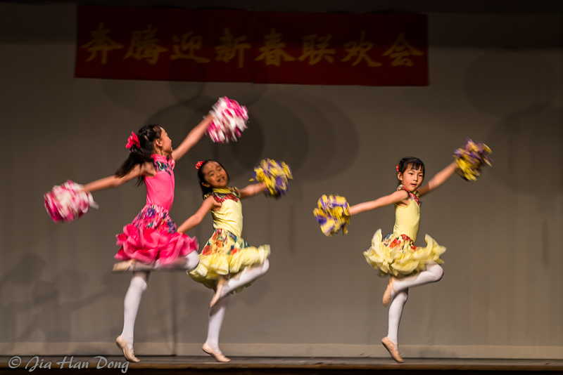 ChineseNewYearCeleb_1819_11