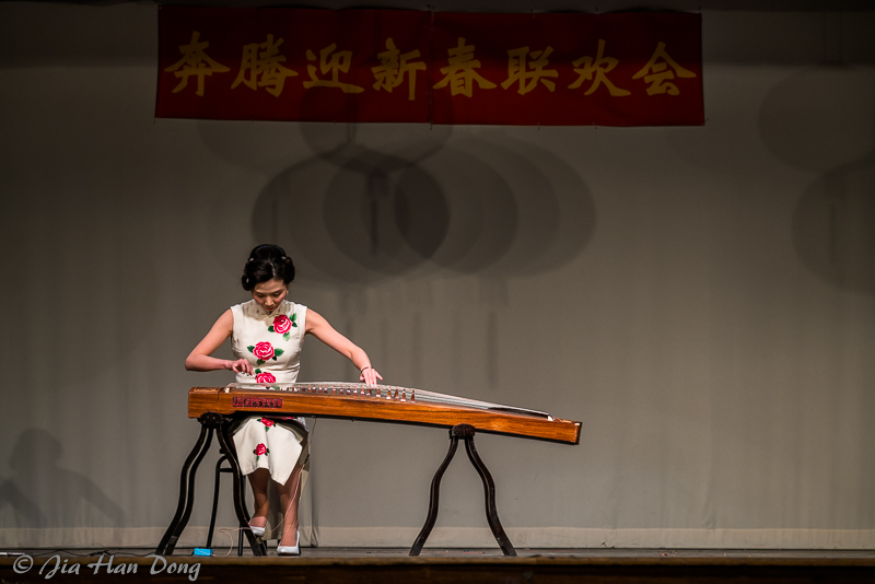 ChineseNewYearCeleb_1819_13