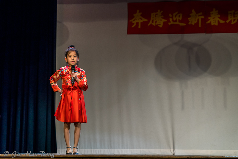 ChineseNewYearCeleb_1819_15